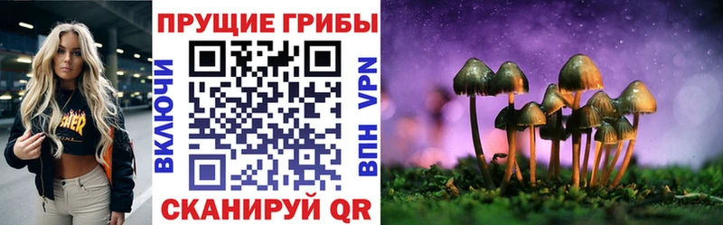 Галлюциногенные грибы Magic Shrooms хочу наркоту Богданович